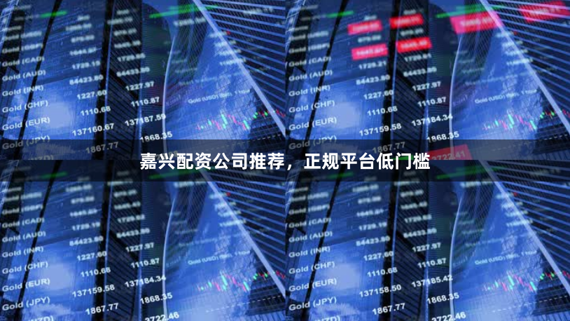 嘉兴配资公司推荐，正规平台低门槛